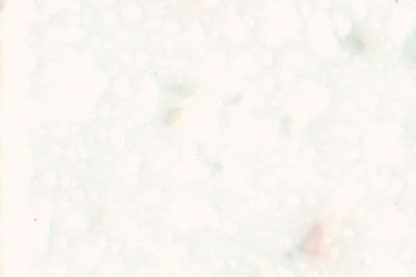 Образец камня Cotton Wool (A-410)
