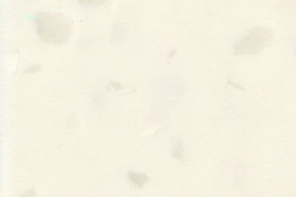 Образец камня A-412 Citron Blossom (A-412)