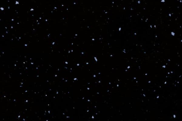 Neomarm N423, N423
