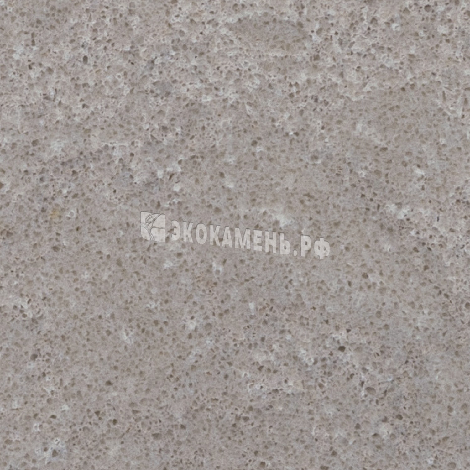 Текстура Caesarstone Topus Concrete (4023) — Caesarstone