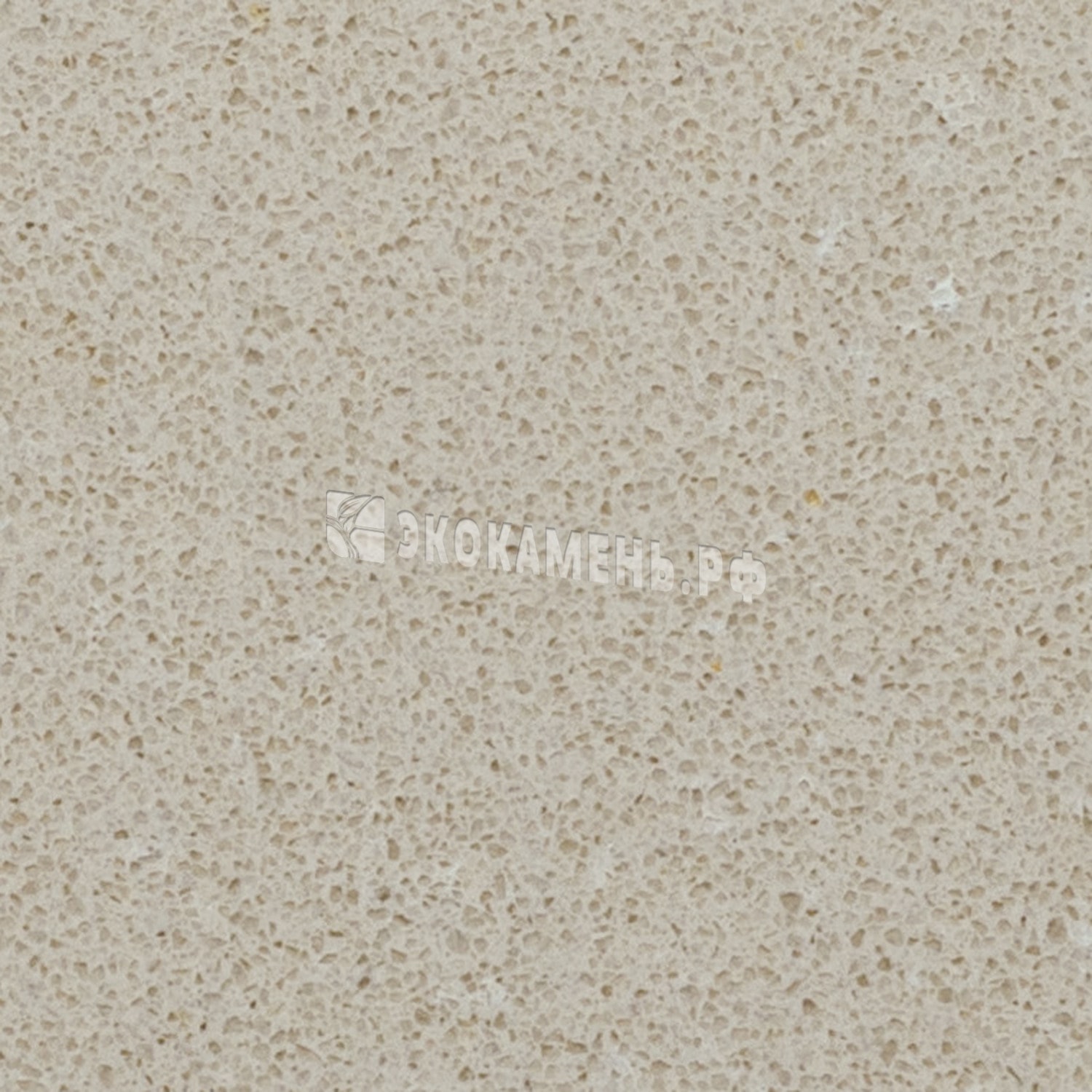 Текстура Caesarstone Buttermilk (4220) — Caesarstone