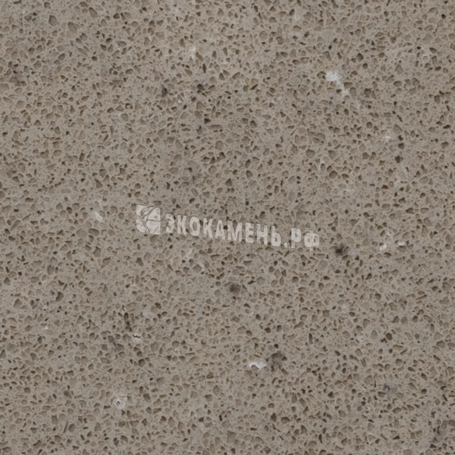 Текстура Caesarstone Shitake (4230) — Caesarstone