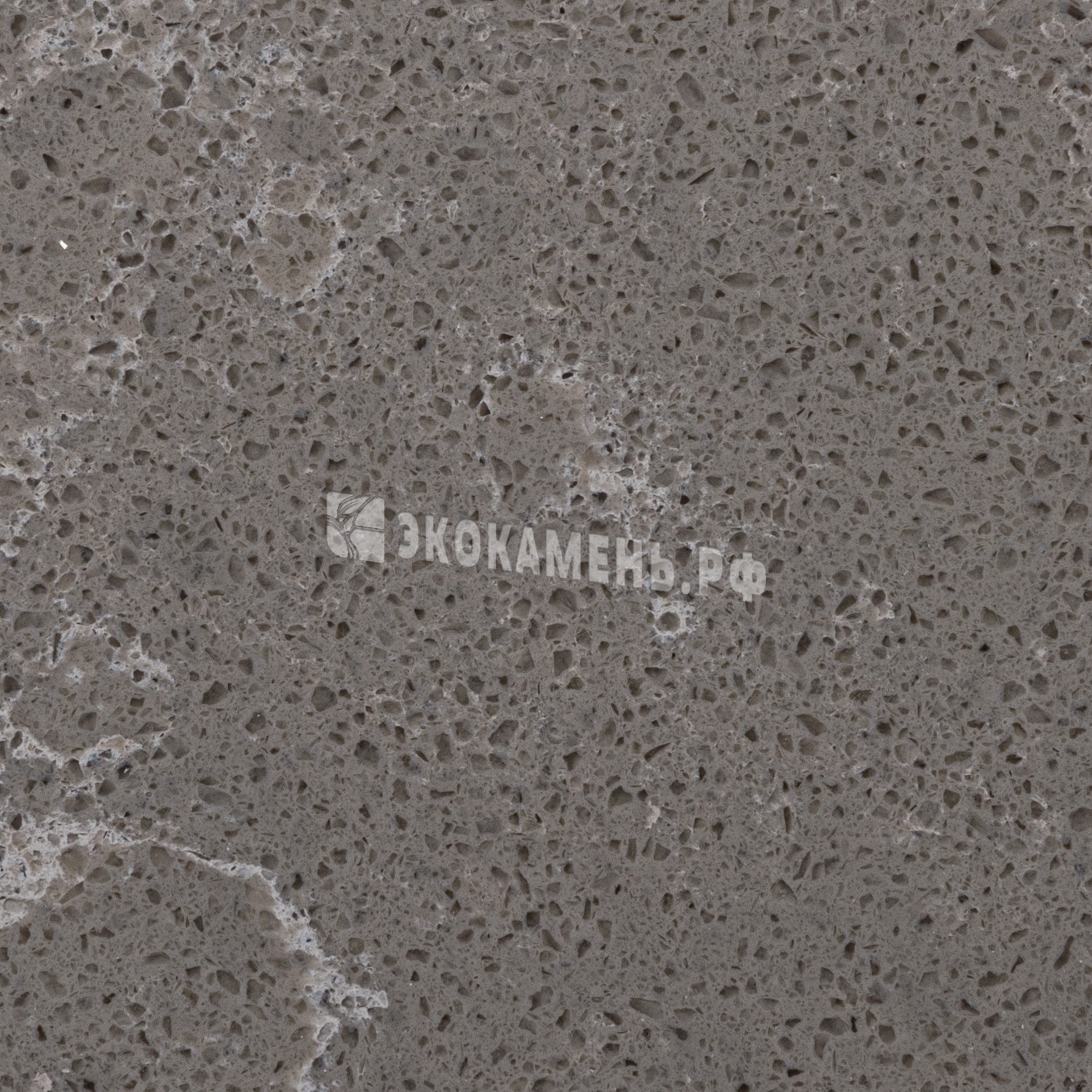 Текстура Avant Quartz Грис Фонсе (9050) — Avant Quartz