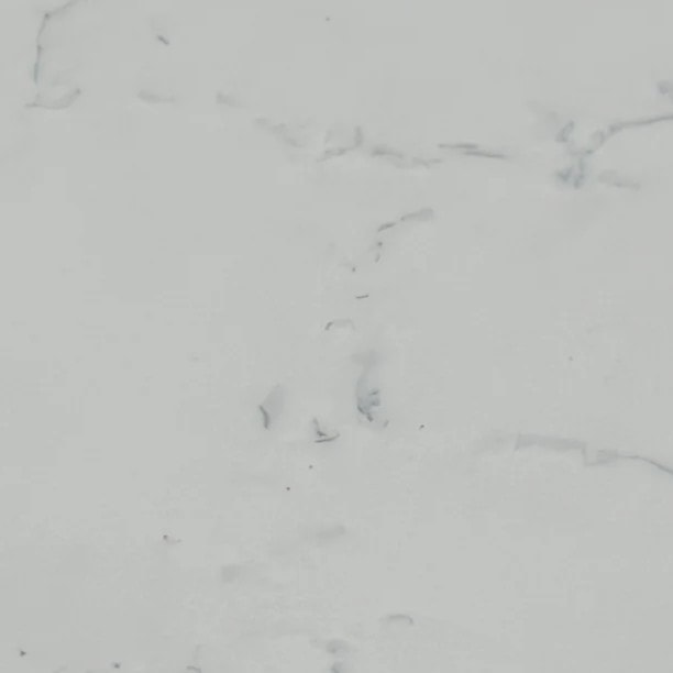 Текстура White Carrara (912) — Primax