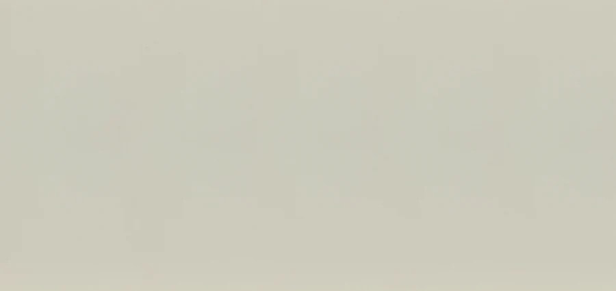 Текстура Beige Pearl (BQ240) — Vicostone