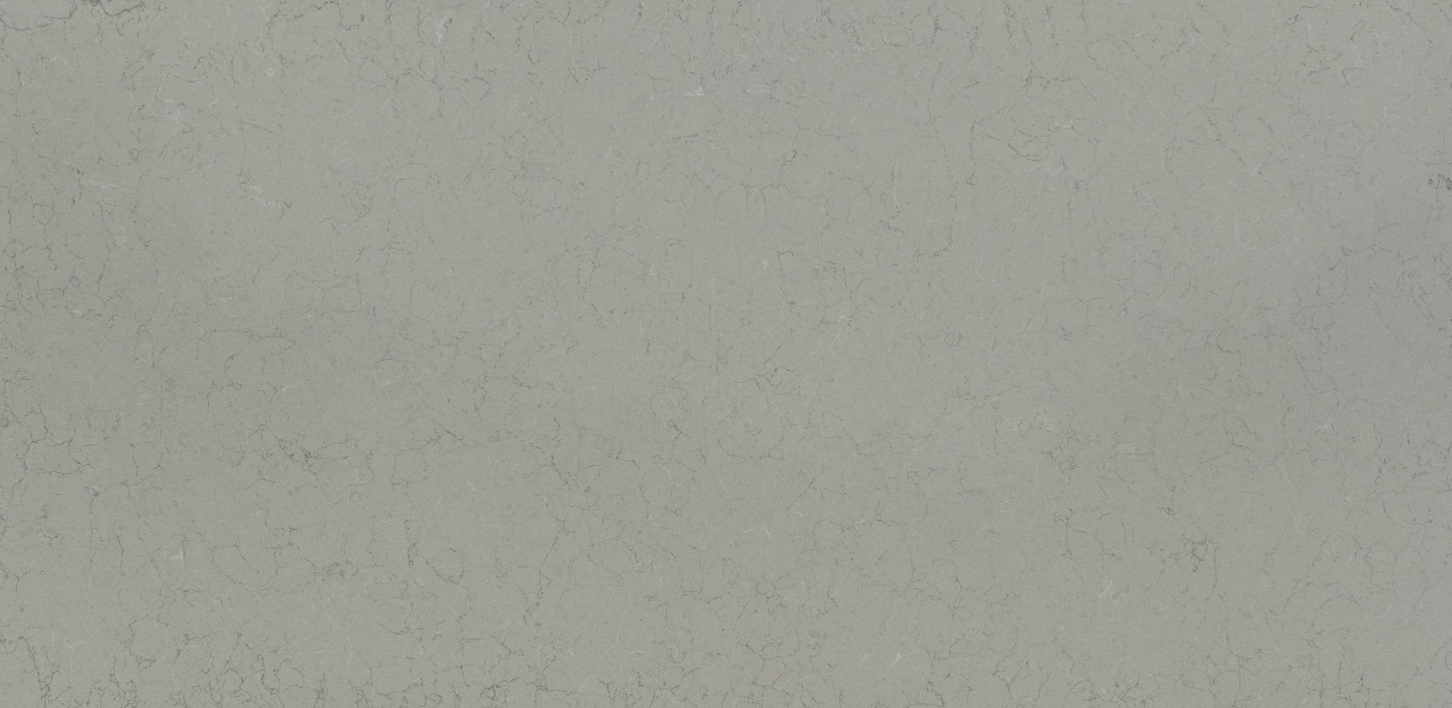 Текстура Serizzo Monterosa (BQ2607) — Vicostone