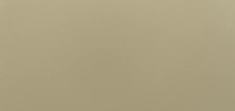 Текстура Desert sand (BS160) — Vicostone