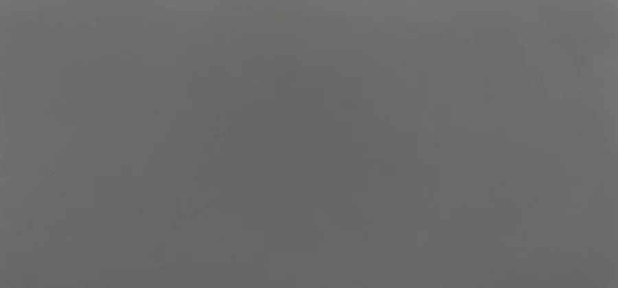 Текстура Twilight Grey (BS250) — Vicostone