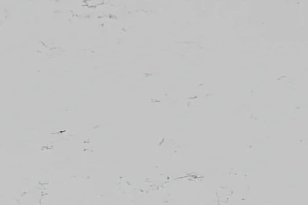 White Marble (920) — текстура камня White Marble (920) — текстура камня