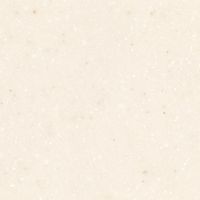 Aspen Seashell (AS642) — текстура камня Aspen Seashell (AS642) — текстура камня