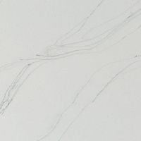 Arezzo (C-801) — текстура камня