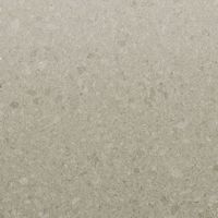 Ash Grey (C3269) — текстура камня Ash Grey (C3269) — текстура камня