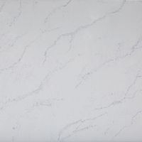 Mont (C4147) — текстура камня Mont (C4147) — текстура камня
