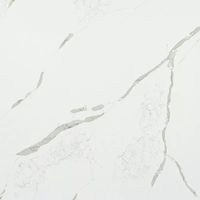 Calacatta Supreme Honed (C4211H) — текстура камня Calacatta Supreme Honed (C4211H) — текстура камня
