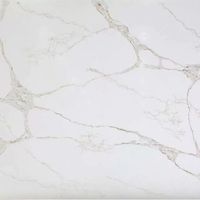 Athena (C4221) — текстура камня Athena (C4221) — текстура камня