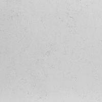 Dreamy White (MC205) — текстура камня Dreamy White (MC205) — текстура камня