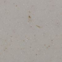 Sanded Cream (N421) — текстура камня Sanded Cream (N421) — текстура камня