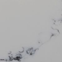 Calacatta Blanca (NM208) — текстура камня Calacatta Blanca (NM208) — текстура камня