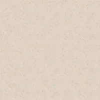S-205 Fair Sky — текстура камня