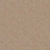 S-206 Wet Sand — текстура камня