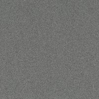 Tempest Grey (S-229) — текстура камня
